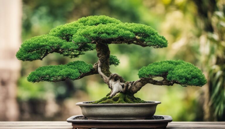 How A Bonsai Tree Is Made