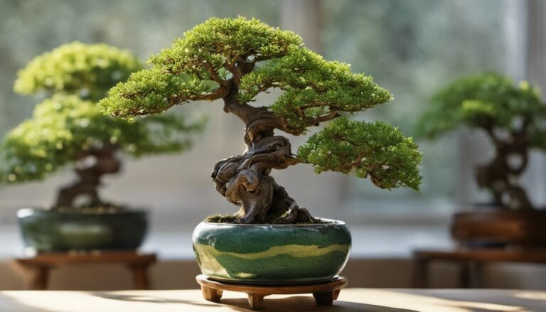 How Does A Tree Become A Bonsai