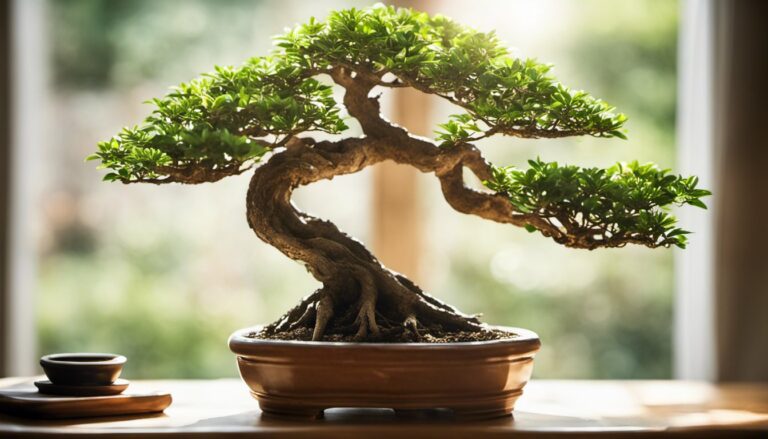 How Much Does A Bonsai Tree Usually Cost