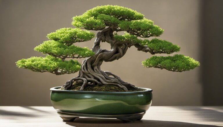 How Much Is A Bonsai Tree Worth