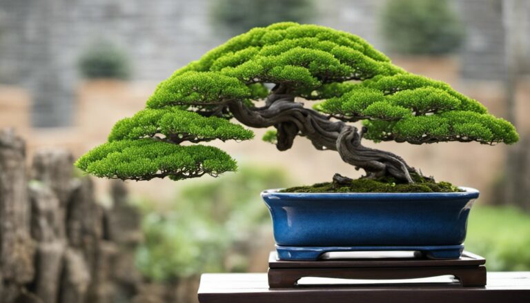 How To Prepare Bonsai Tree