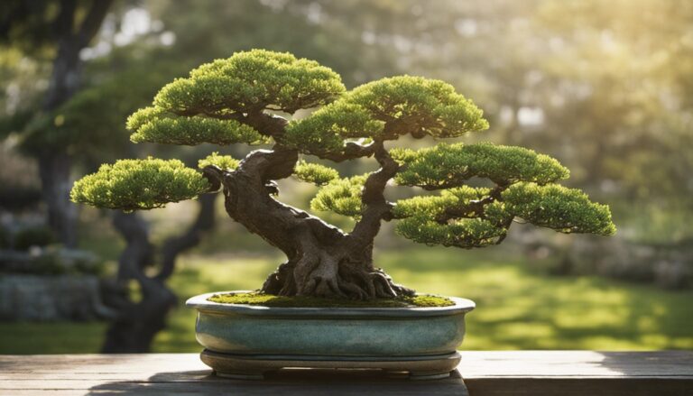 How To Sell Bonsai Trees Online