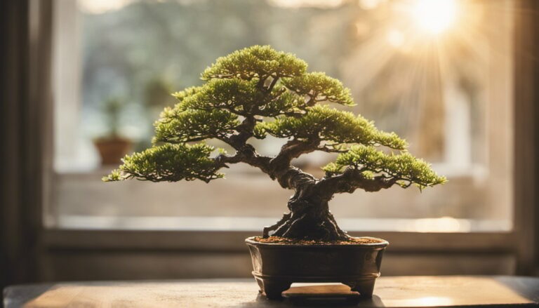 When Should I Start Training My Bonsai Tree