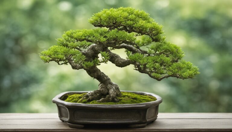 Why Are Bonsai Trees So Difficult