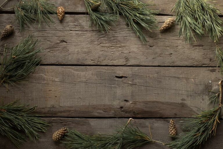 Master the Art of Scots Pine Bonsai