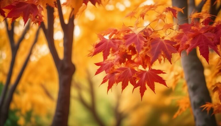 Top Liquidambar Tree Species for Stunning Fall Foliage